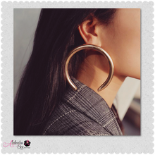 Load image into Gallery viewer, &quot;Horse 🐎 Shoe&quot; Earrings - Alabaster Box Boutique