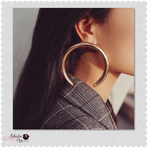 "Horse 🐎 Shoe" Earrings - Alabaster Box Boutique