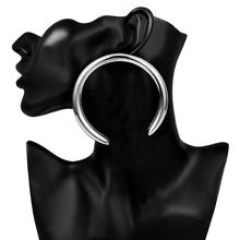 Load image into Gallery viewer, &quot;Horse 🐎 Shoe&quot; Earrings - Alabaster Box Boutique
