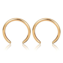 Load image into Gallery viewer, &quot;Horse 🐎 Shoe&quot; Earrings - Alabaster Box Boutique